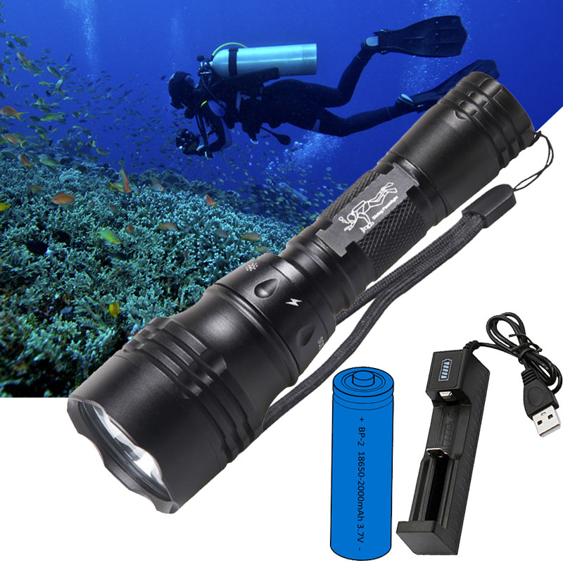 Fish Finder Charger - Lampada Subacquea Portatile 10W T6 L2